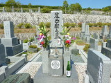 img0014.jpg