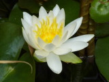 img0003.jpg