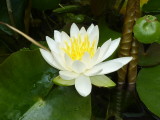 img0004.jpg