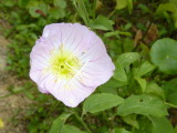img0006.jpg