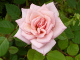 img0008.jpg