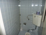 img0036.jpg