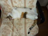 img0000.jpg