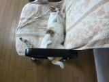 img0001.jpg