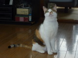 img0004.jpg