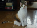 img0005.jpg