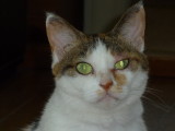 img0006.jpg