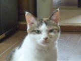 img0008.jpg