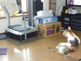img0013.jpg