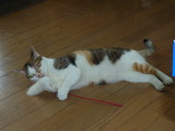 img0016.jpg
