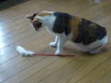img0017.jpg