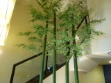 img0020.jpg