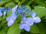 img0006.jpg