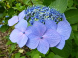img0007.jpg