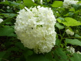 img0012.jpg