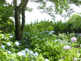 img0014.jpg