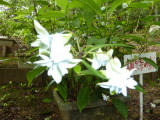 img0020.jpg