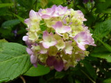 img0023.jpg