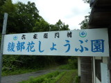 img0035.jpg