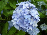 img0061.jpg