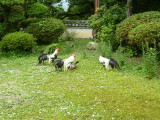 img0064.jpg