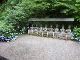 img0072.jpg