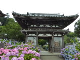 img0085.jpg