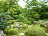 img0031.jpg