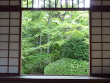 img0042.jpg