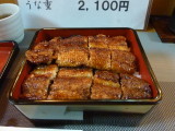 img0009.jpg