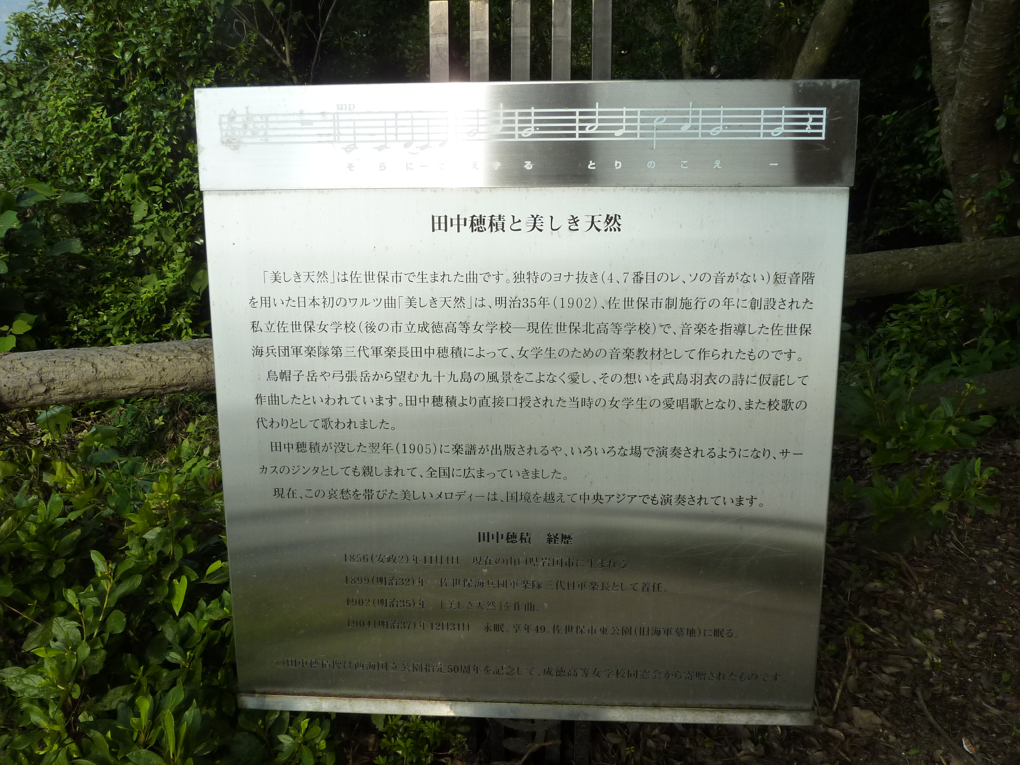 P1040890.JPG