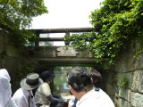 img0050.jpg