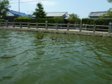 img0085.jpg
