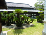 img0105.jpg