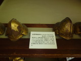 img0113.jpg