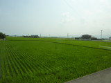 img0131.jpg