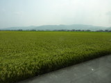 img0133.jpg