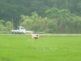 img0199.jpg
