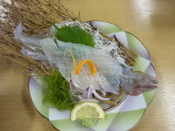 img0209.jpg