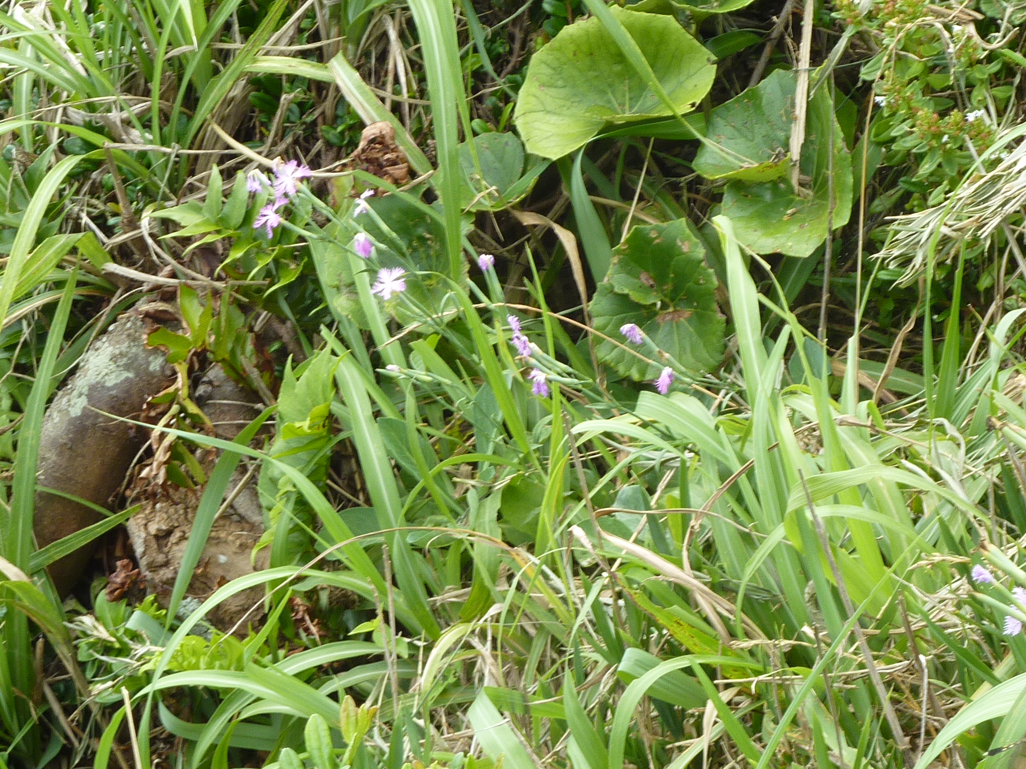 P1050037.JPG