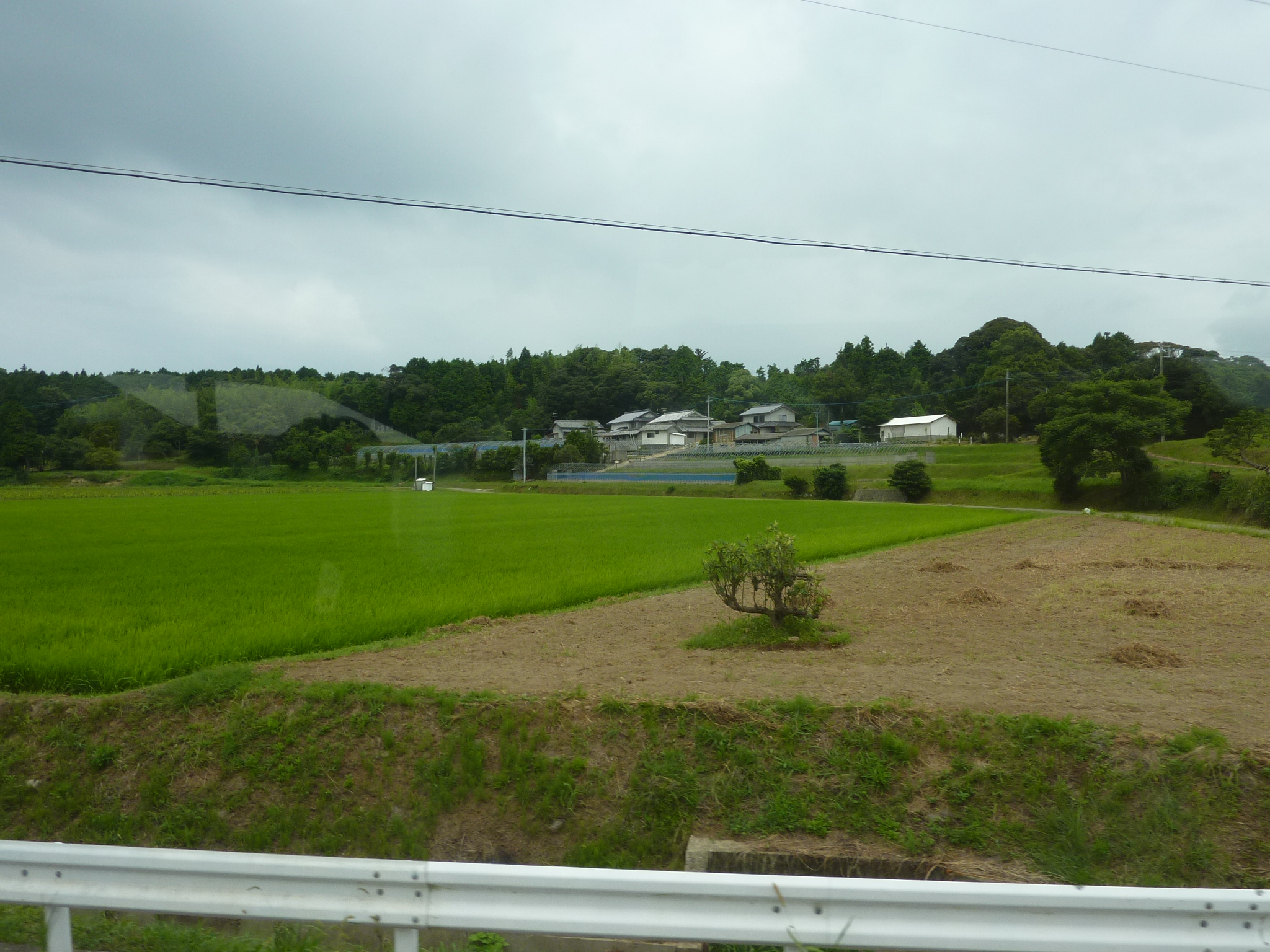 P1050055.JPG