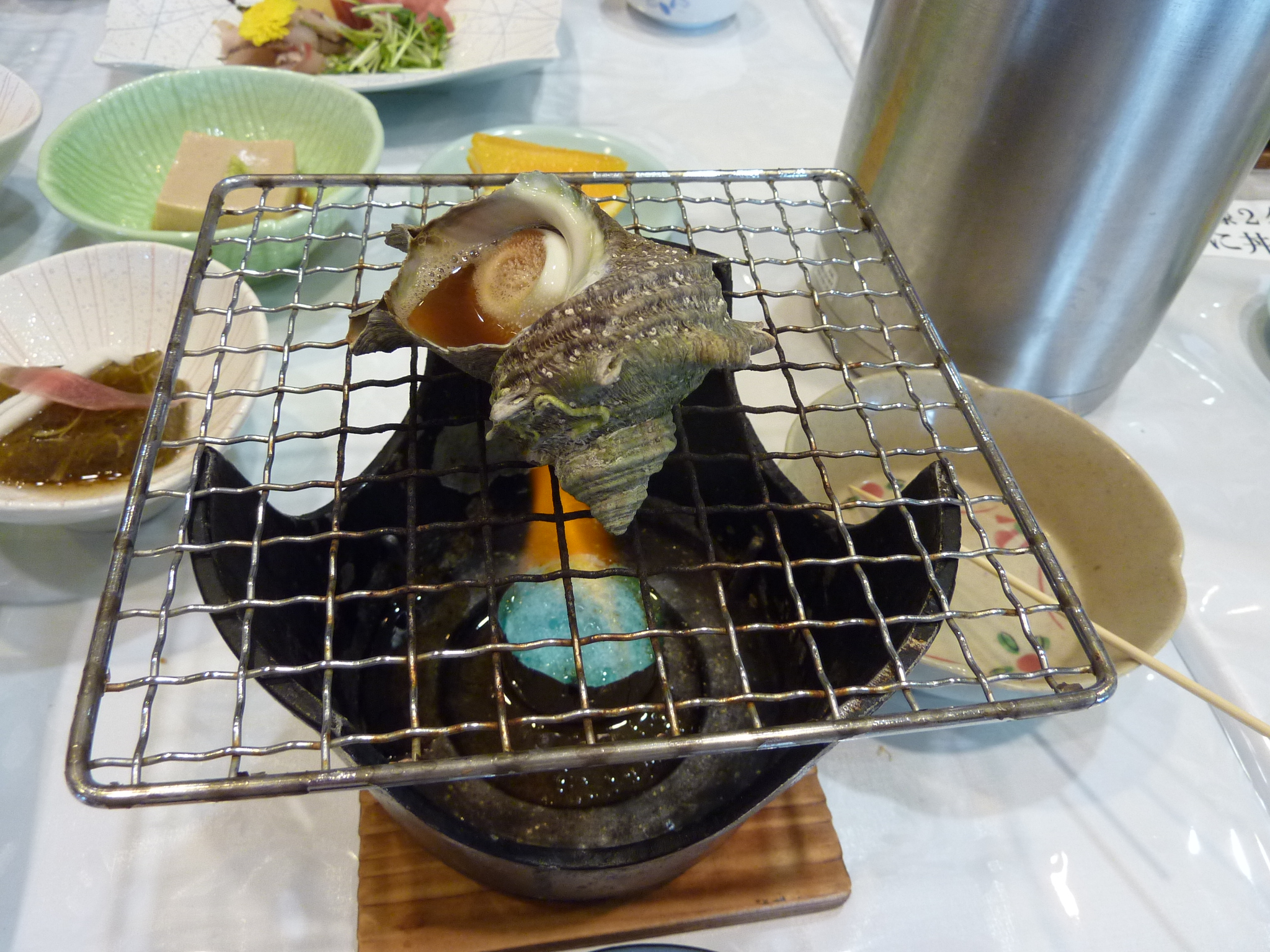 P1050060.JPG