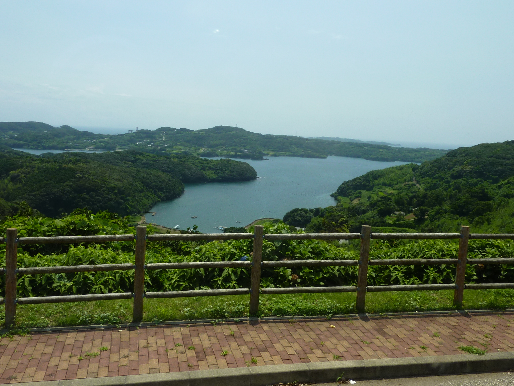 P1050067.JPG