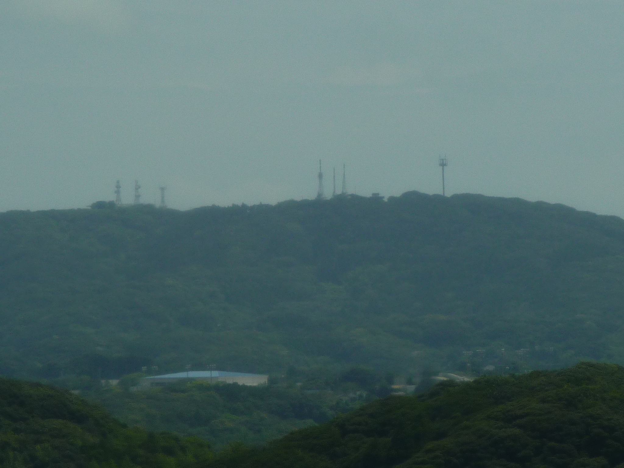 P1050069.JPG