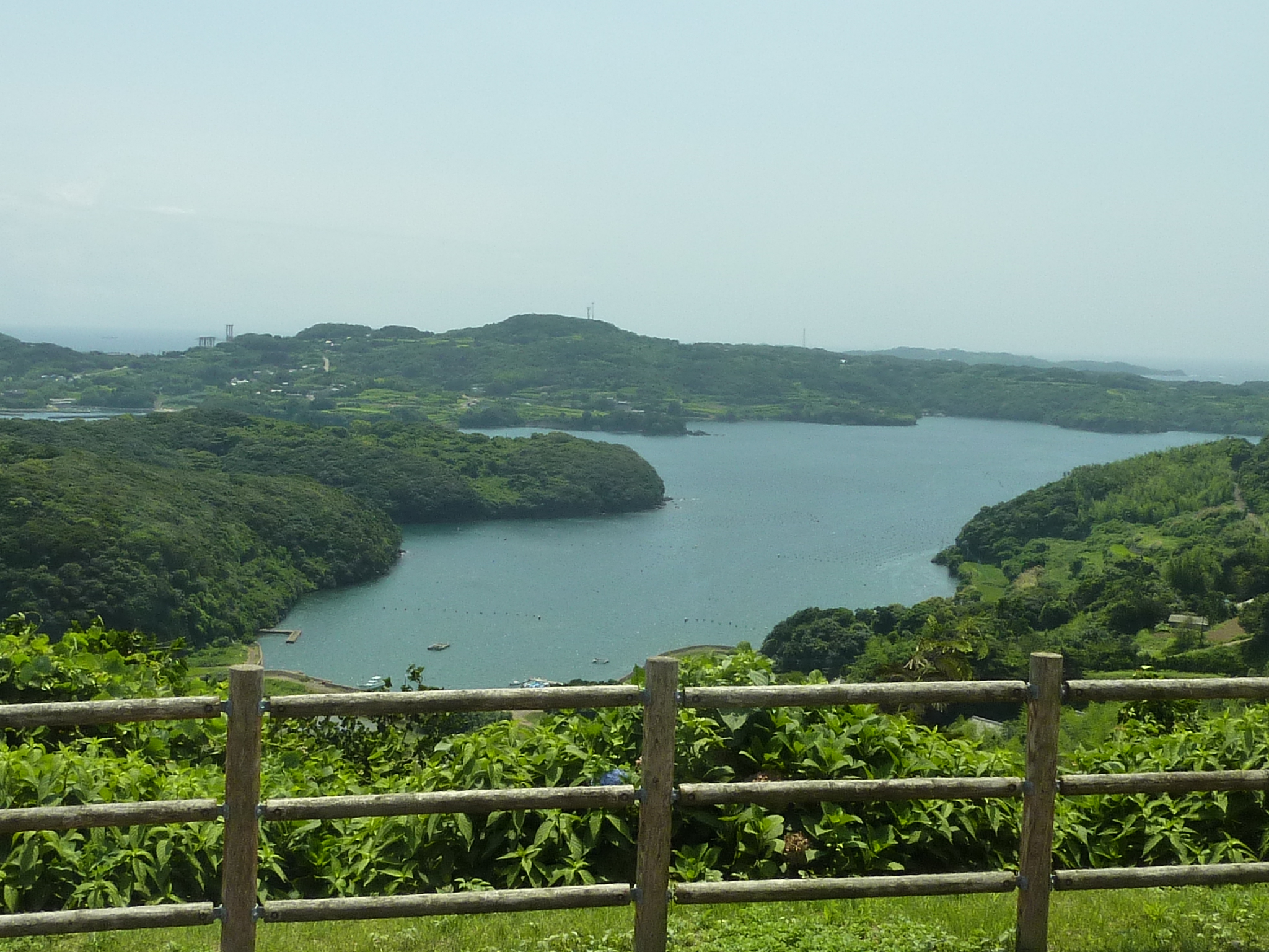 P1050070.JPG