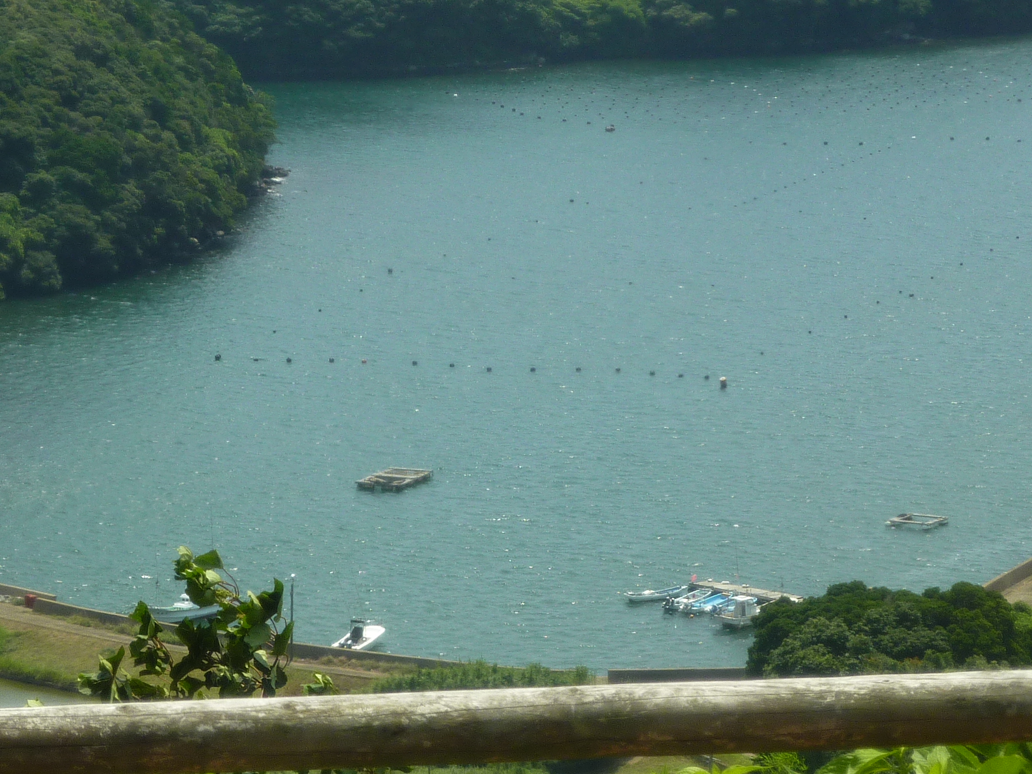 P1050071.JPG
