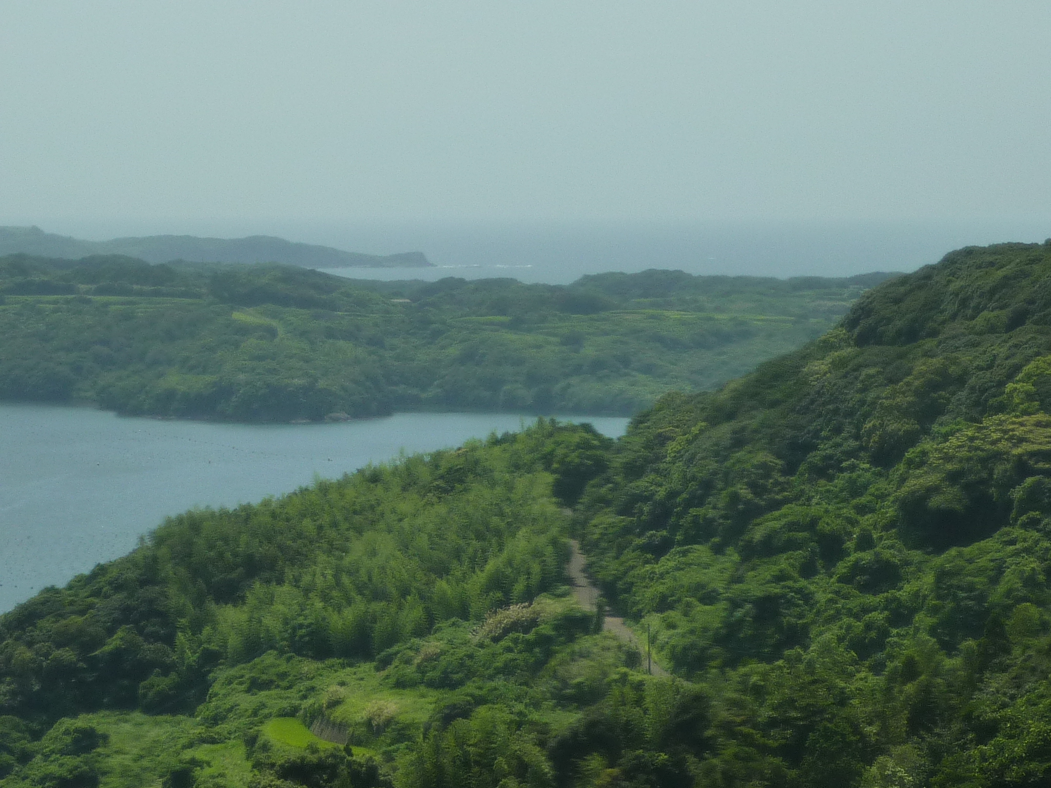 P1050073.JPG