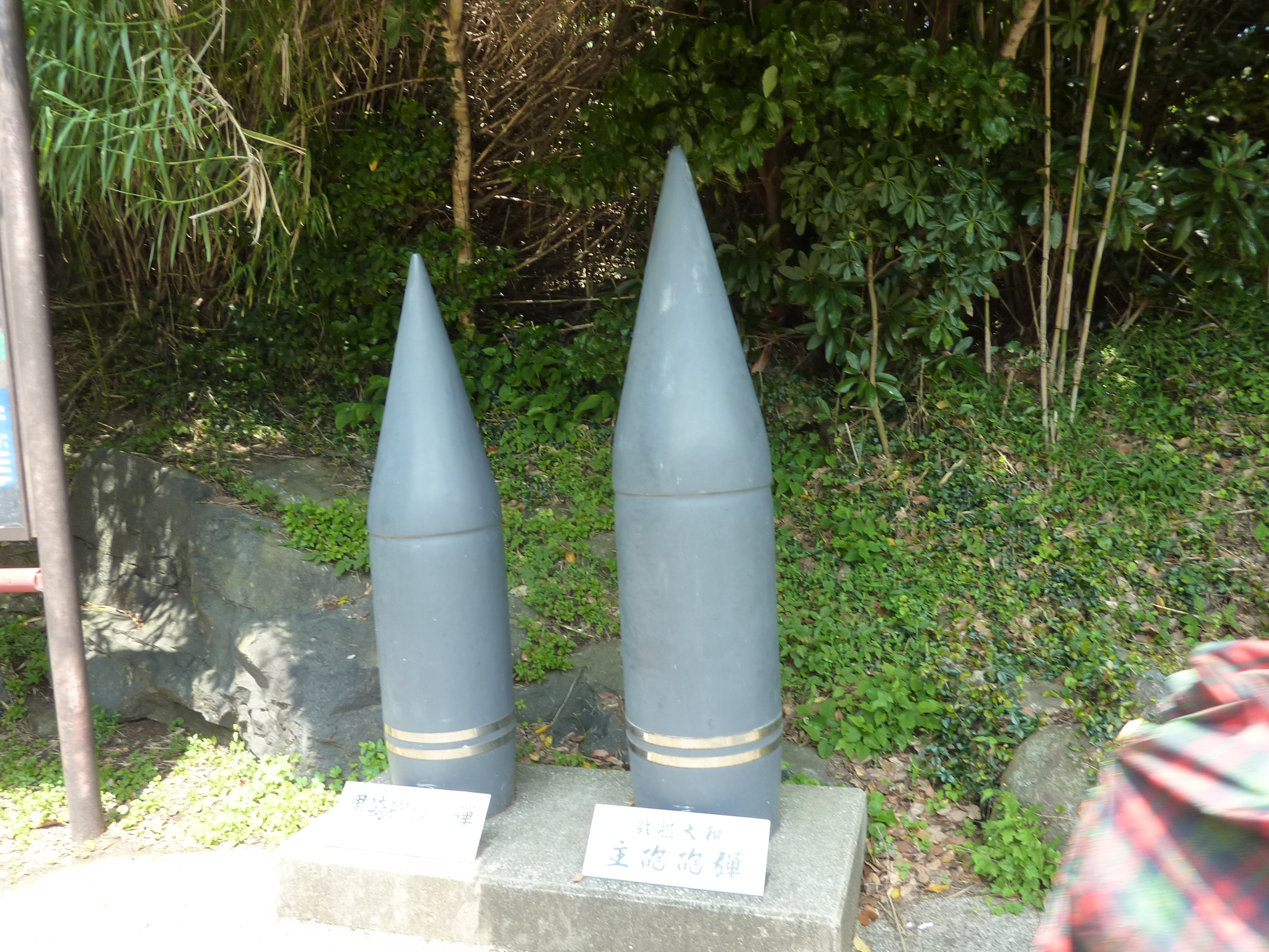 P1050077.JPG