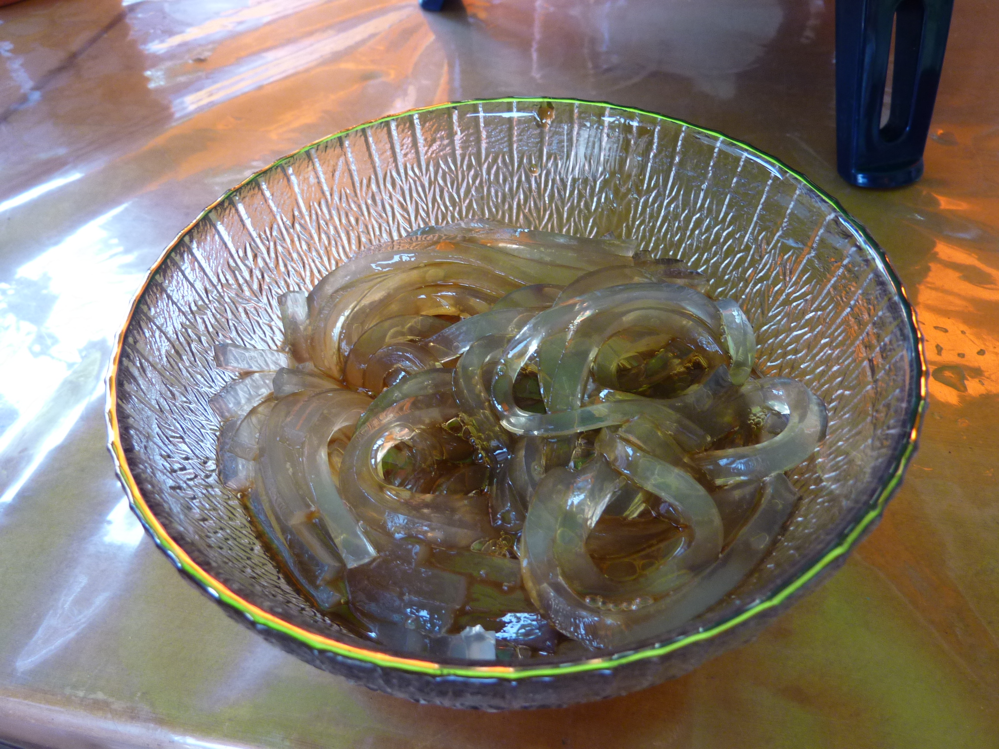 P1050100.JPG