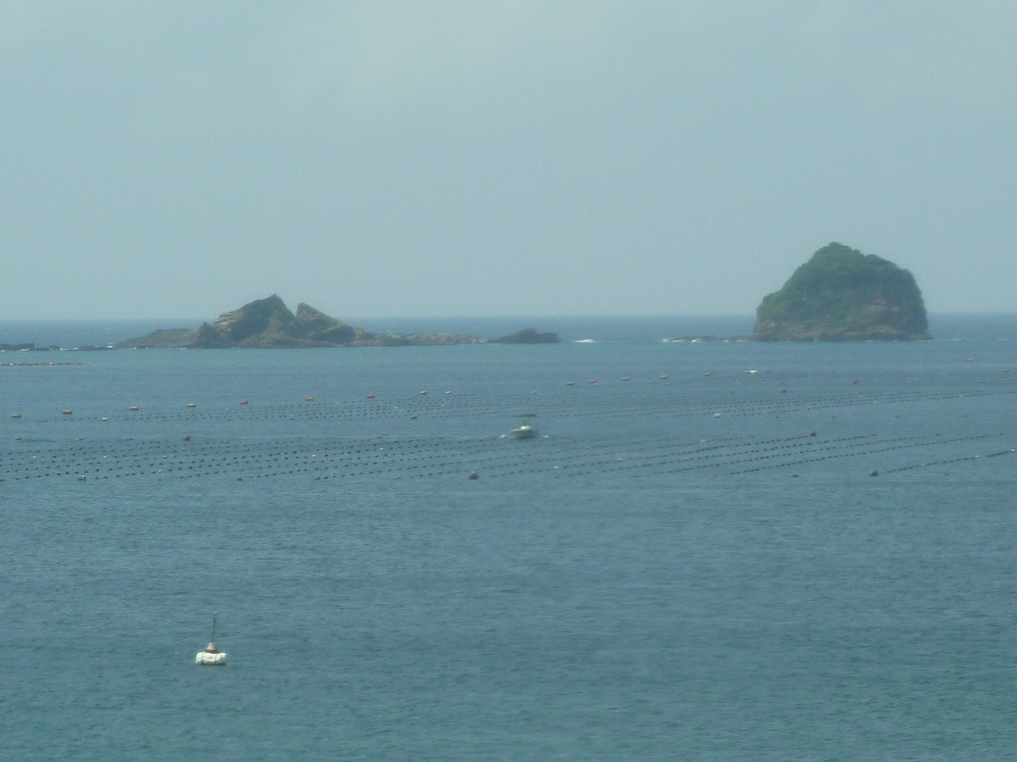 P1050115.JPG